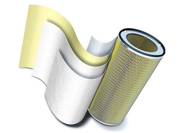 5um,0.5um,2um,0.2um Spin Mounting Plastic Cover Dust Filter Cartridge With Polyester Film Covered